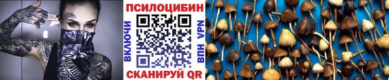 Купить закладки Закаменск Псилоцибиновые грибы прущие грибы